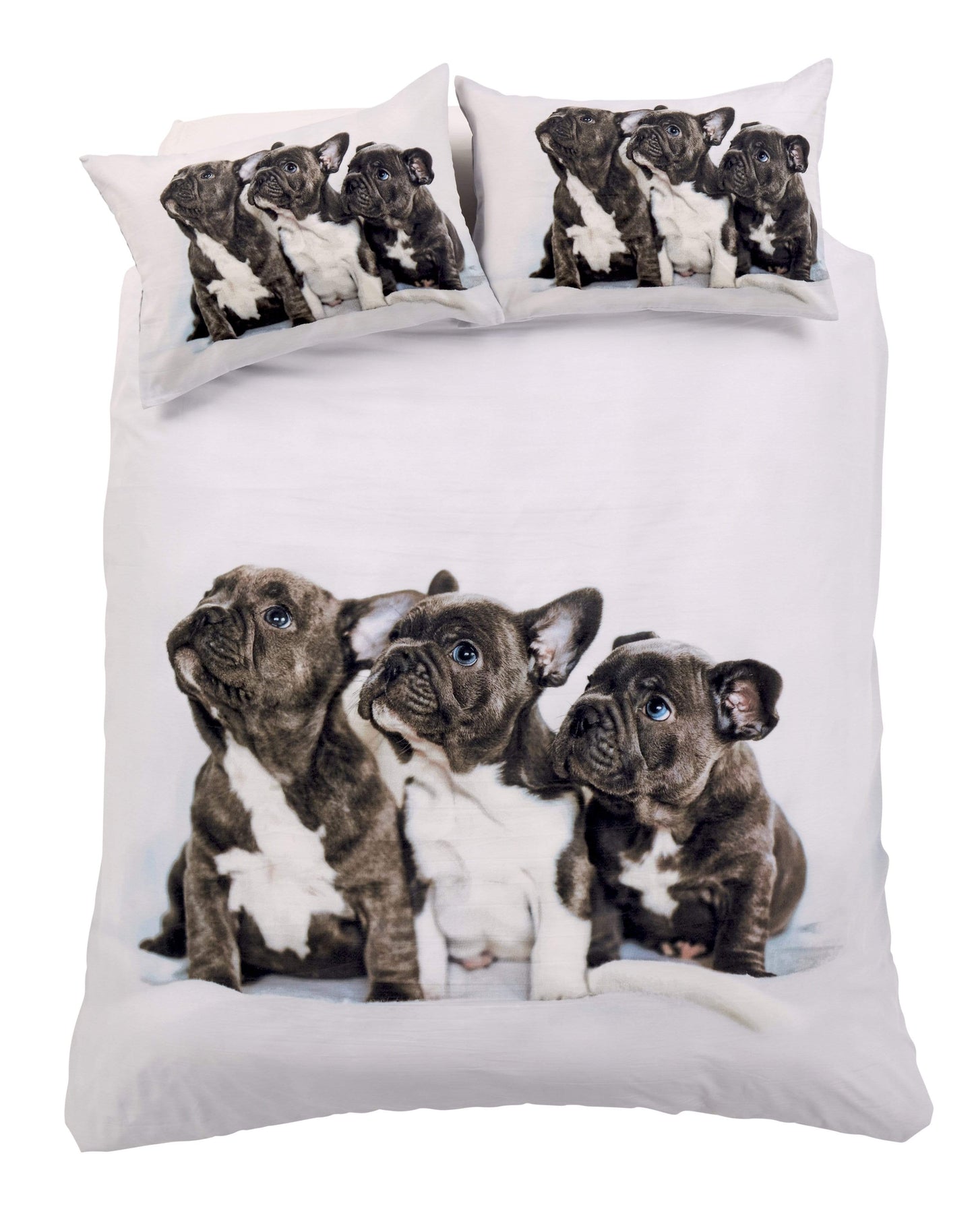 OLIVIA ROCCO Frenchie Cotton Rich Duvet Set With Vibrant Colours And Patterns For Bedroom Transformation Single Double King