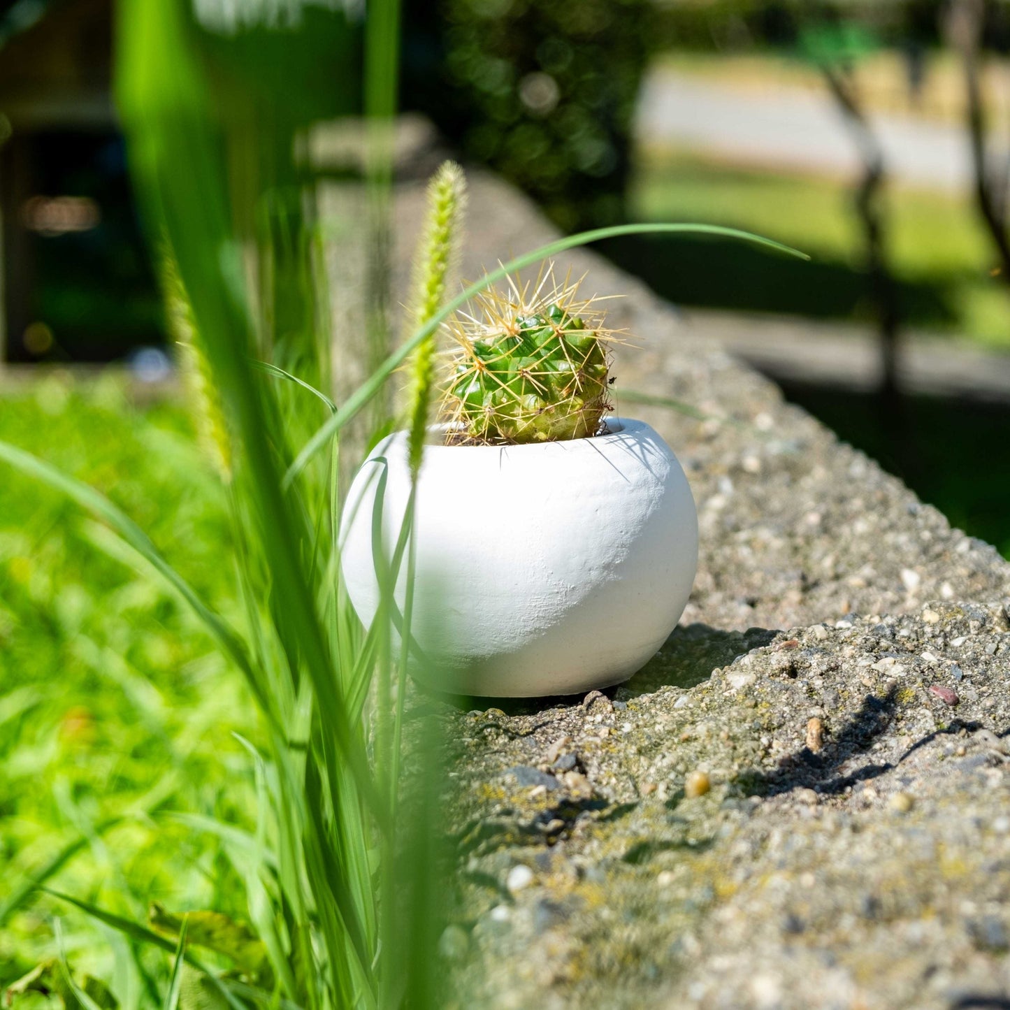 WHITE CONCRETE ROUND POT