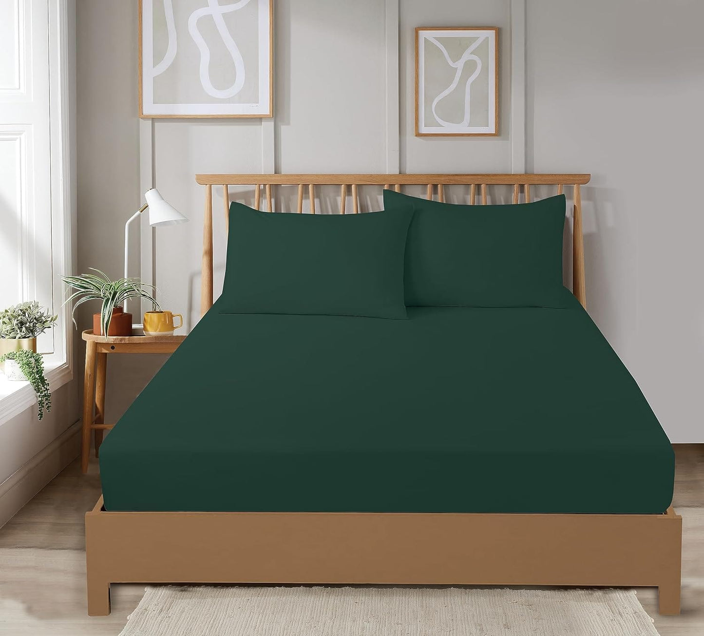 OLIVIA ROCCO Fitted Sheets, Plain Dye, Super Soft, Easy Care, Bed Linen Sets, Single to King, Three Quarter Sizes, Multiple Colours