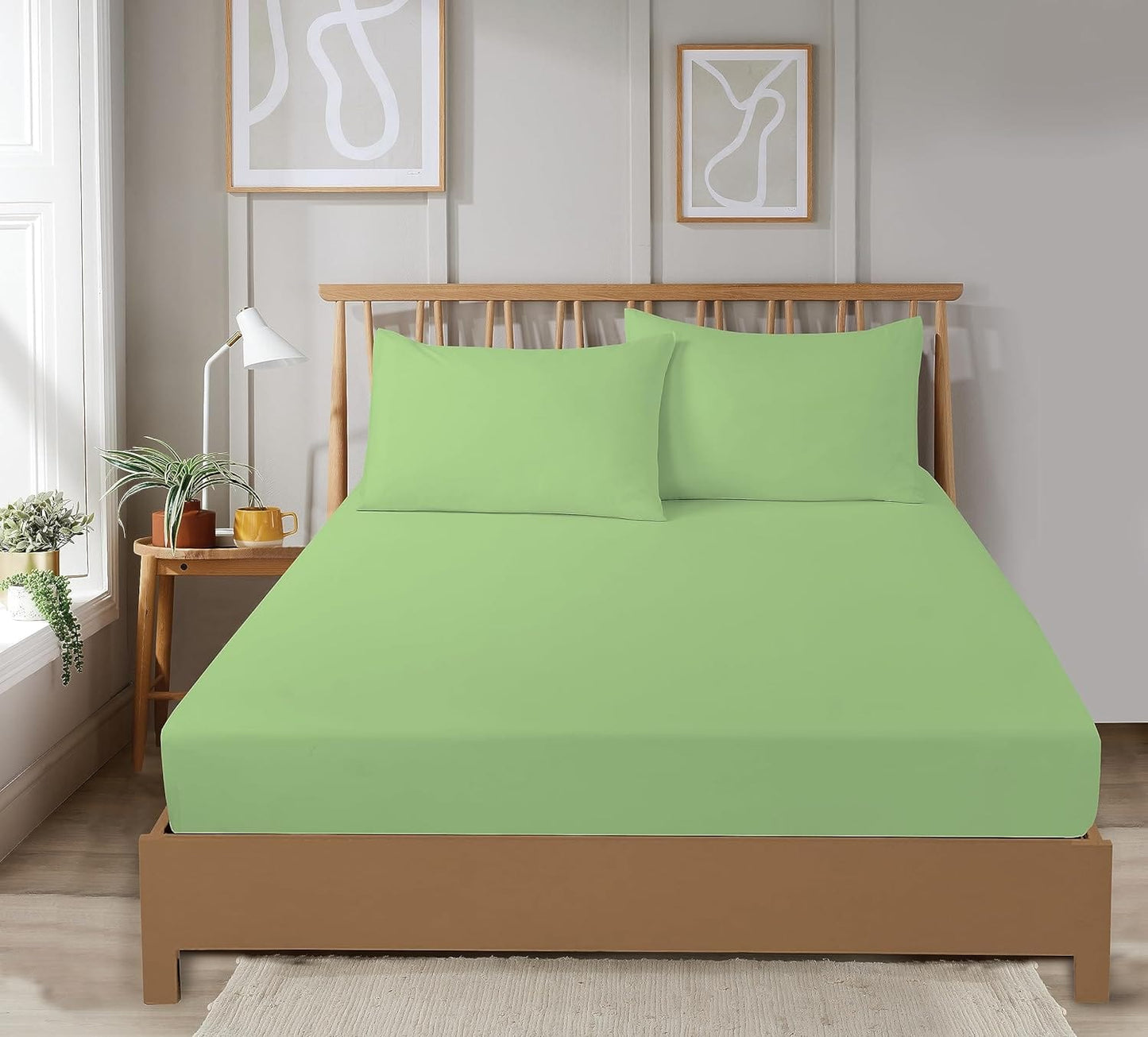 OLIVIA ROCCO Fitted Sheets, Plain Dye, Super Soft, Easy Care, Bed Linen Sets, Single to King, Three Quarter Sizes, Multiple Colours